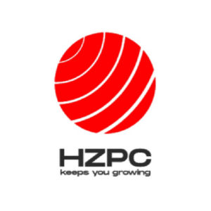 Flag_of_the_president_of_Mauritania.svg-01