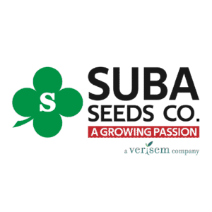 Flag_of_the_president_of_Mauritania.svg-04